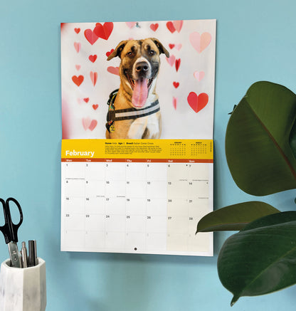 Dogs Trust A4 calendar 2027