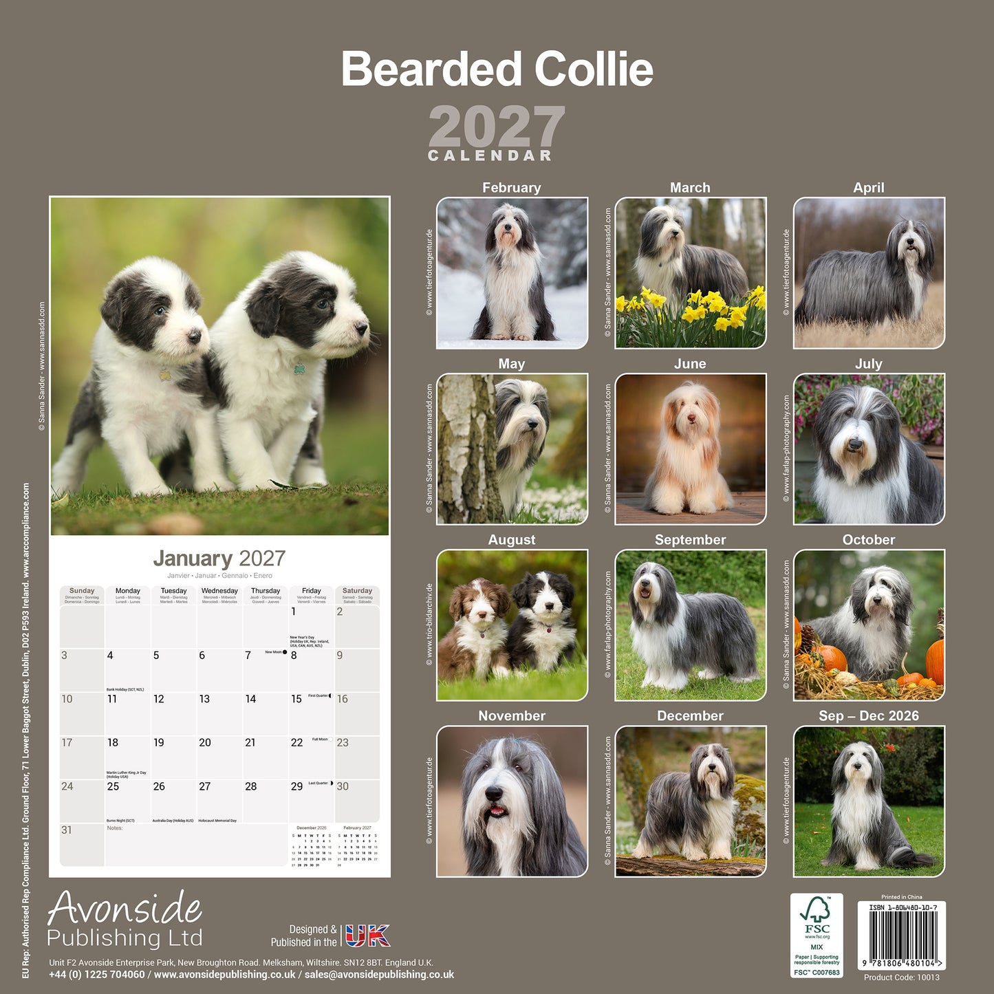 Bearded Collie wall calendar 2027