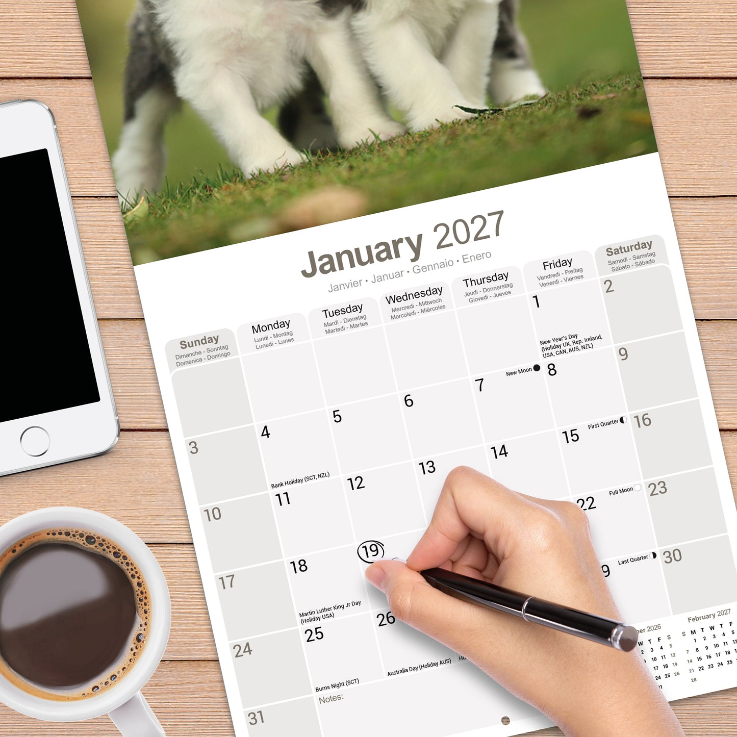 Bearded Collie wall calendar 2027