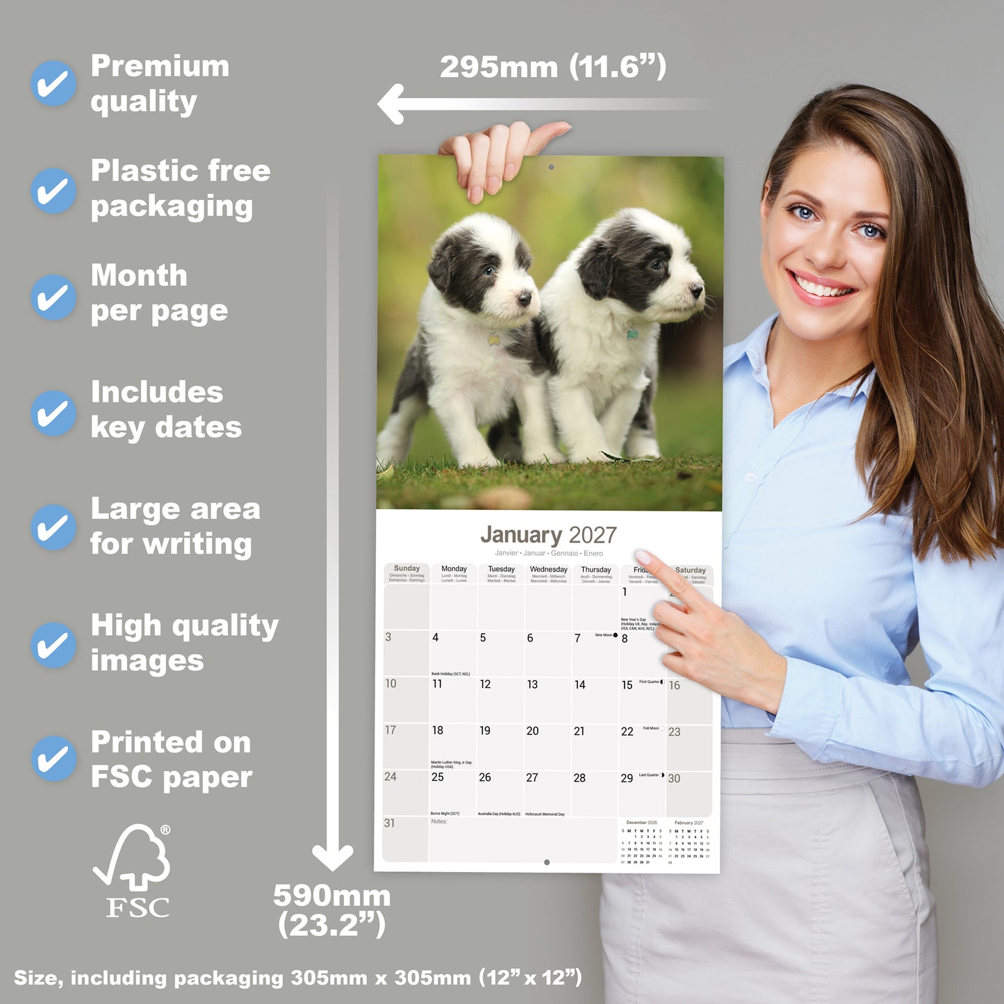 Bearded Collie wall calendar 2027