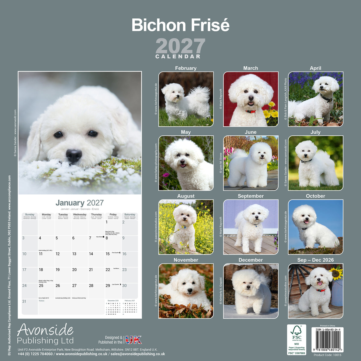 Bichon Frisé wall calendar 2027