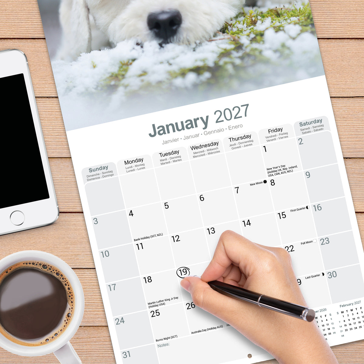 Bichon Frisé wall calendar 2027