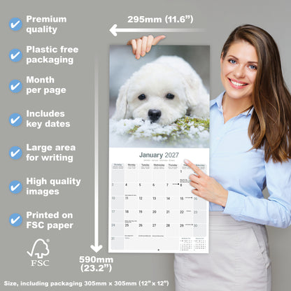 Bichon Frisé wall calendar 2027