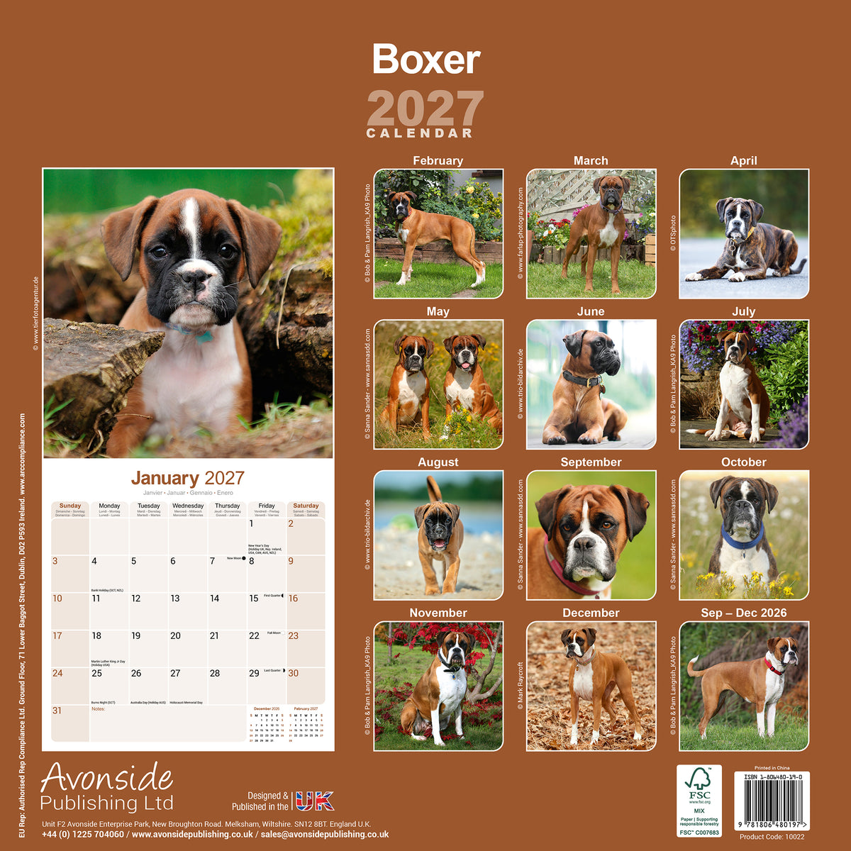 Boxer wall calendar 2027
