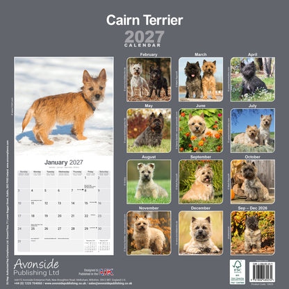 Cairn Terrier wall calendar 2027