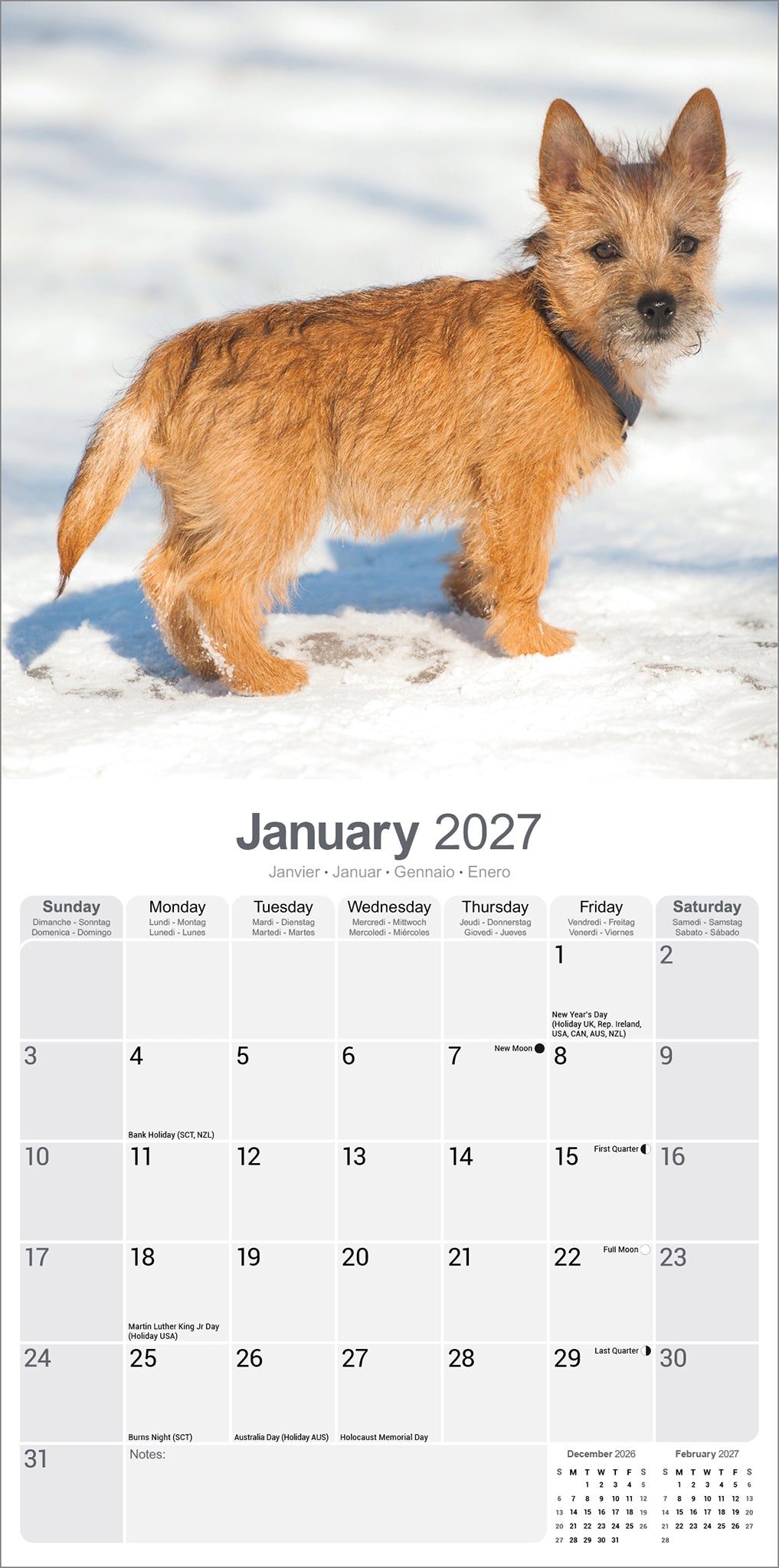 Cairn Terrier wall calendar 2027