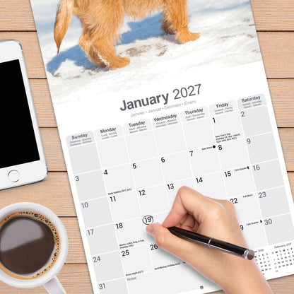 Cairn Terrier wall calendar 2027
