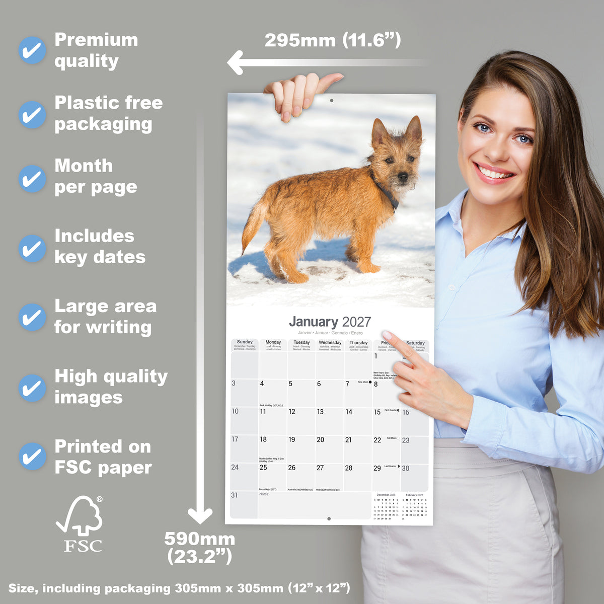 Cairn Terrier wall calendar 2027