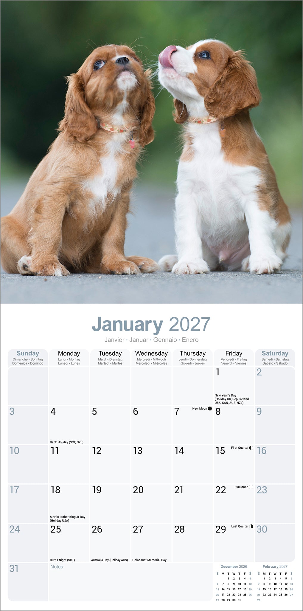 Cavalier King Charles Spaniel wall calendar 2027