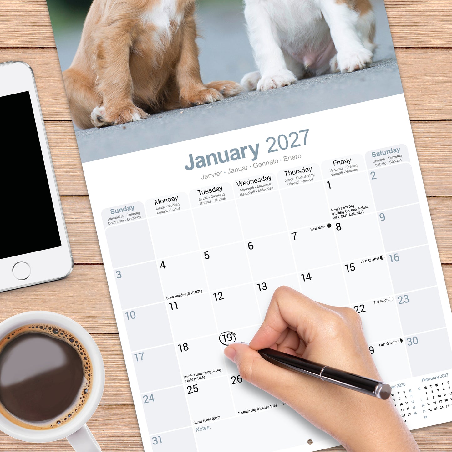 Cavalier King Charles Spaniel wall calendar 2027
