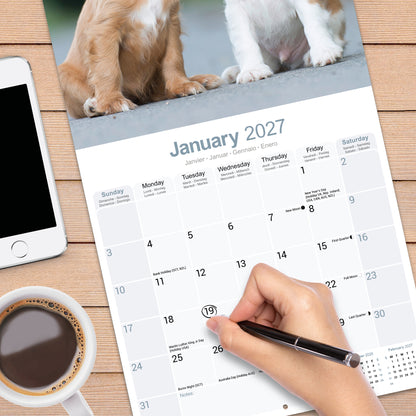 Cavalier King Charles Spaniel wall calendar 2027