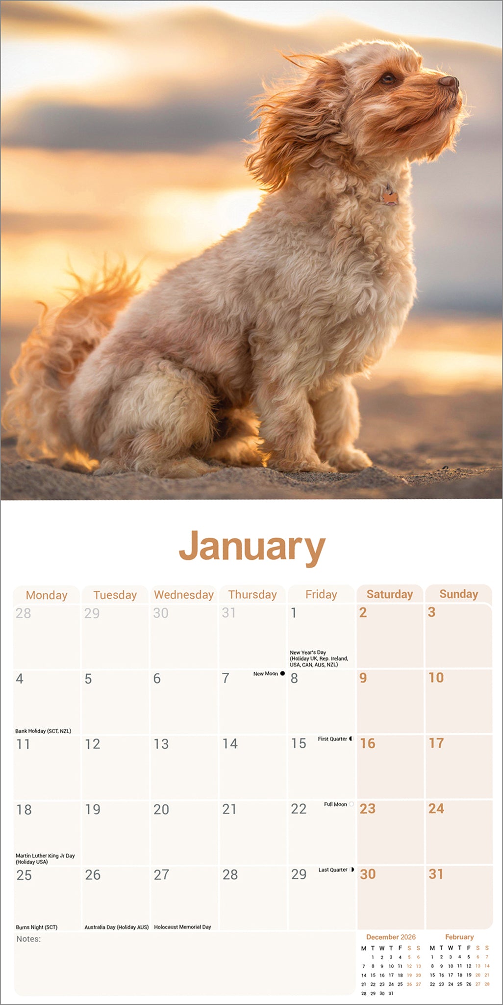 Cavapoo wall calendar 2027