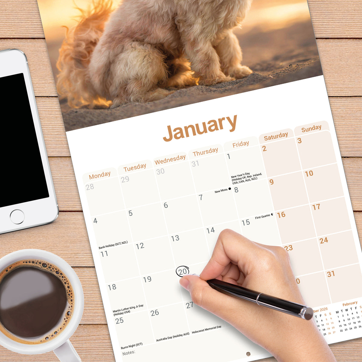 Cavapoo wall calendar 2027