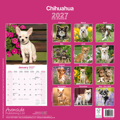 Chihuahua wall calendar 2027