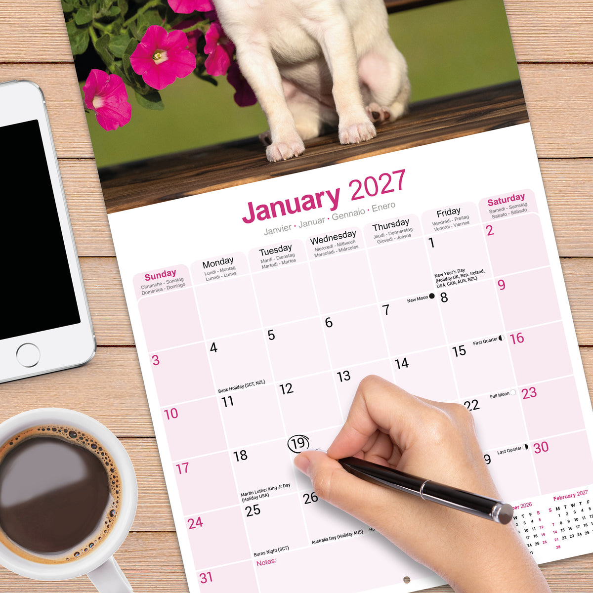 Chihuahua wall calendar 2027