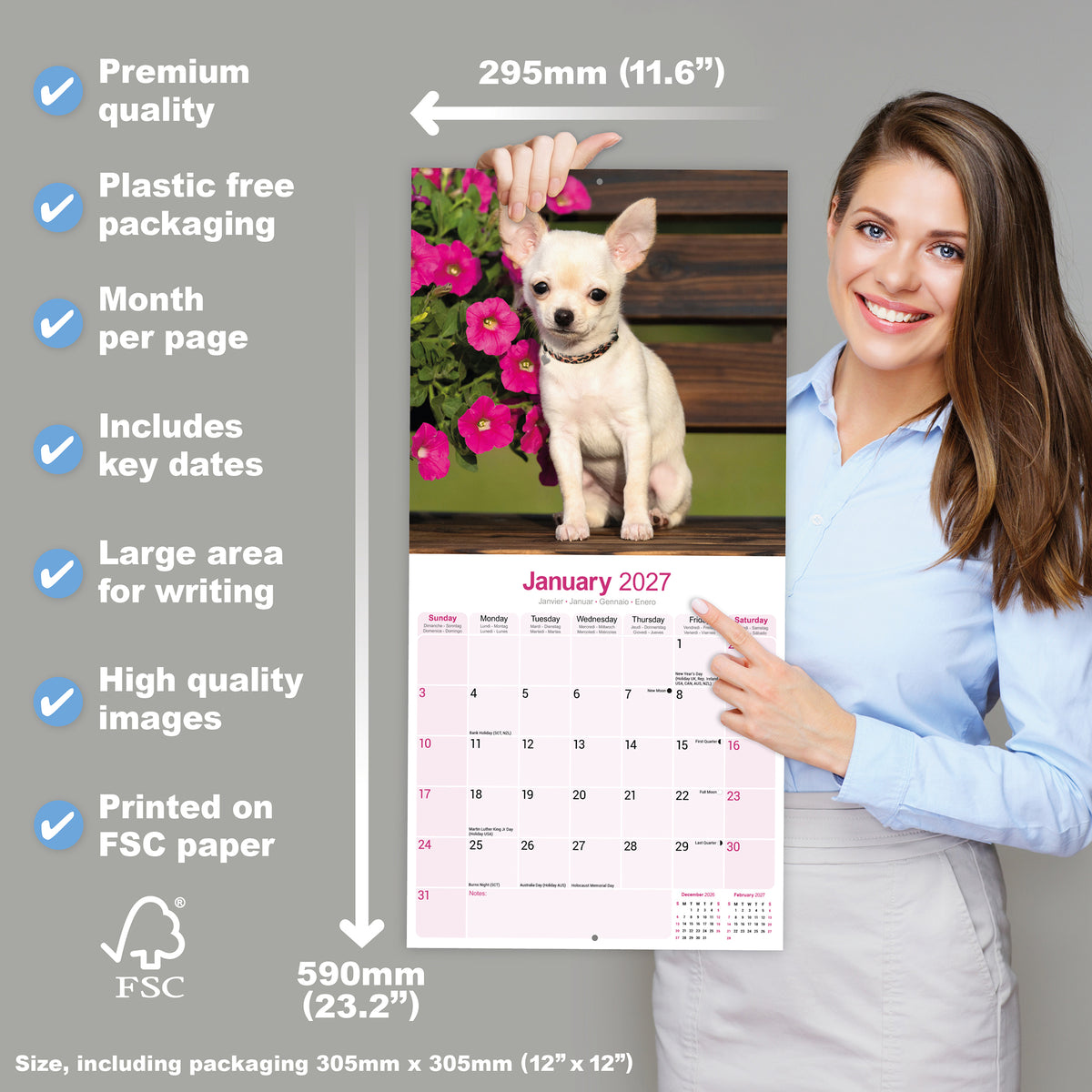 Chihuahua wall calendar 2027