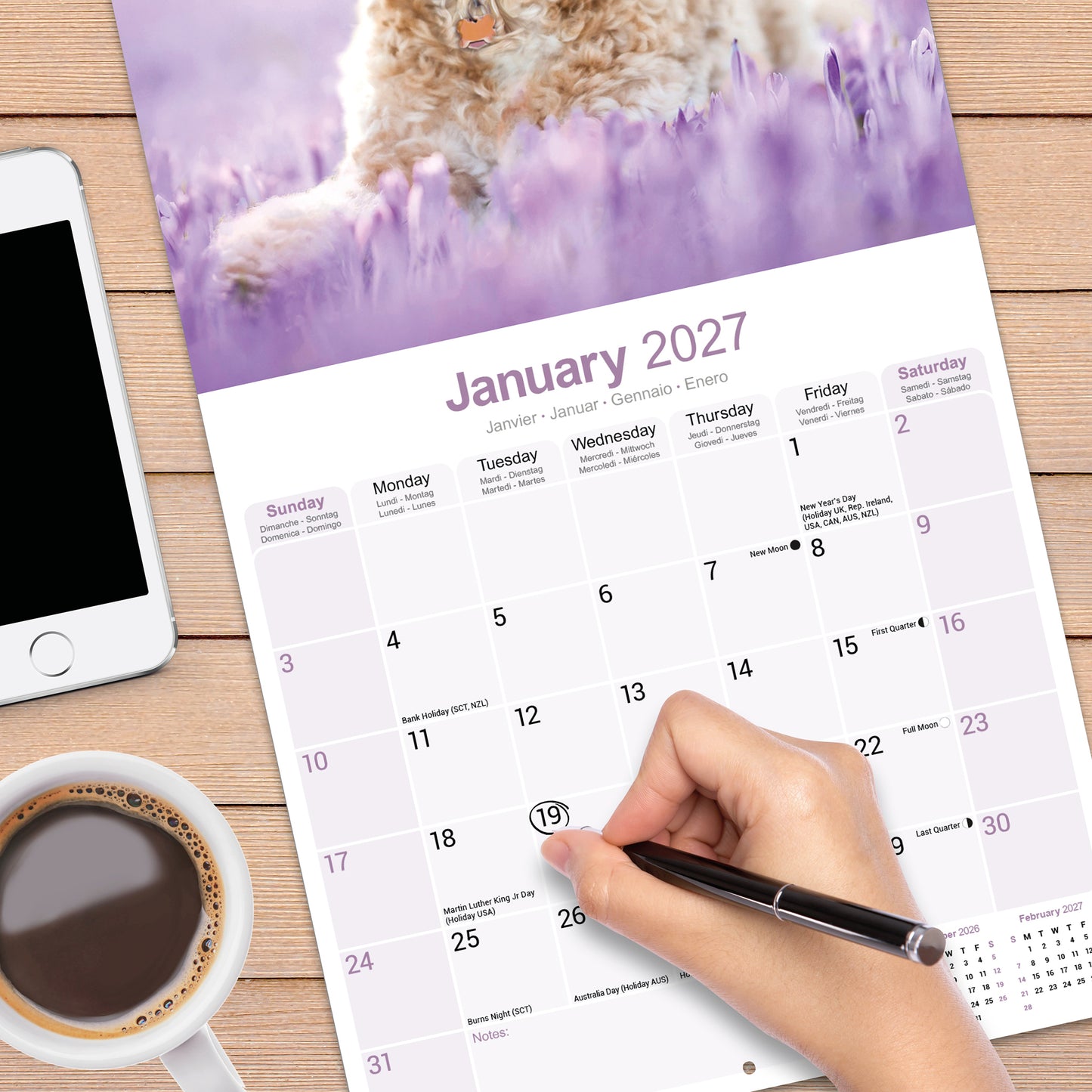 Cockapoo wall calendar 2027