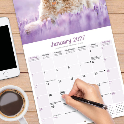 Cockapoo wall calendar 2027