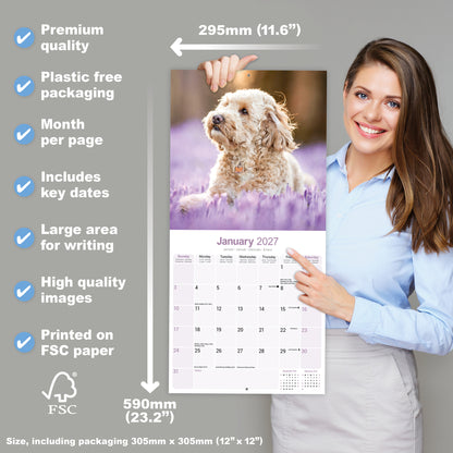 Cockapoo wall calendar 2027