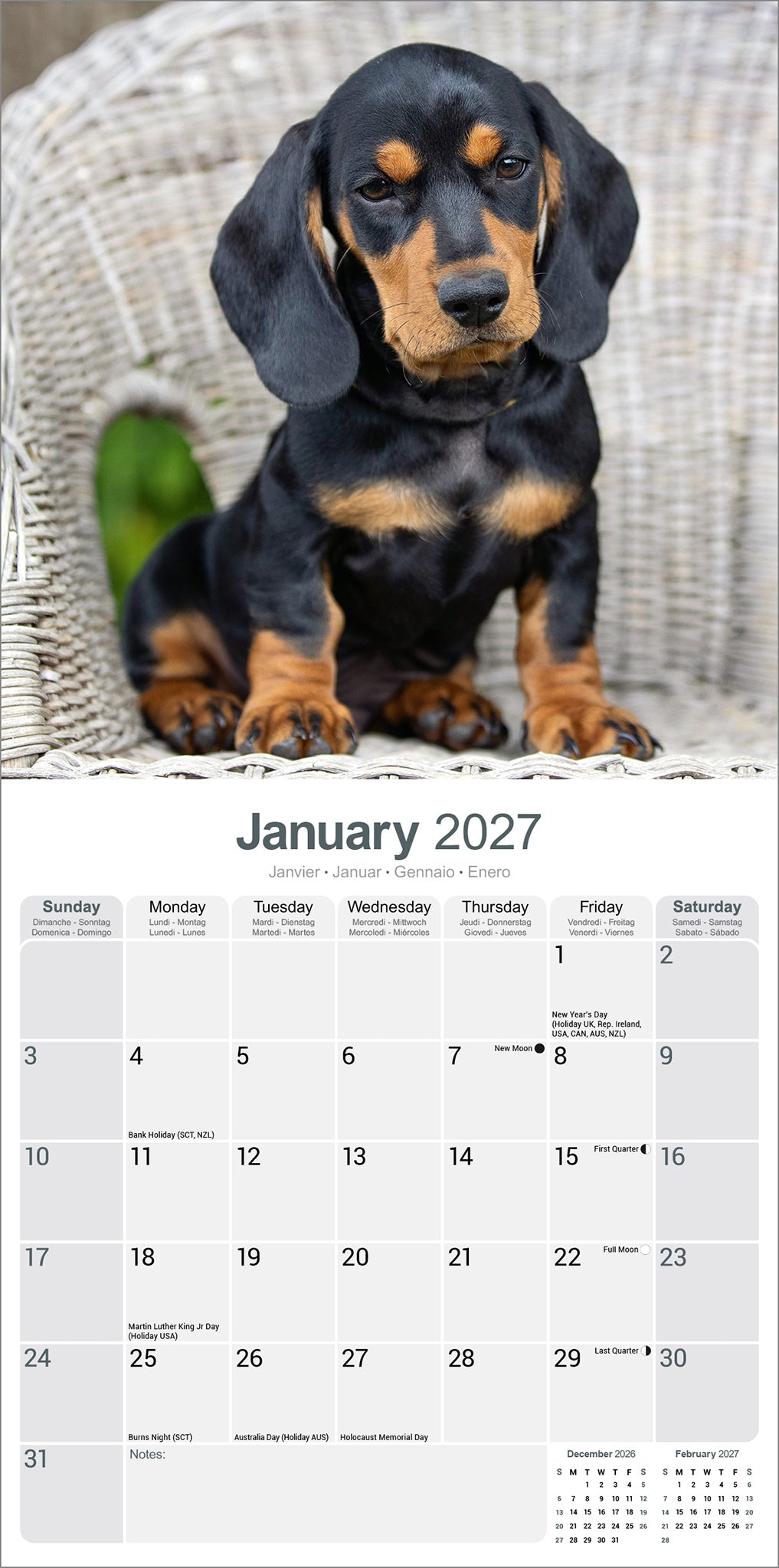 Dachshund wall calendar 2027