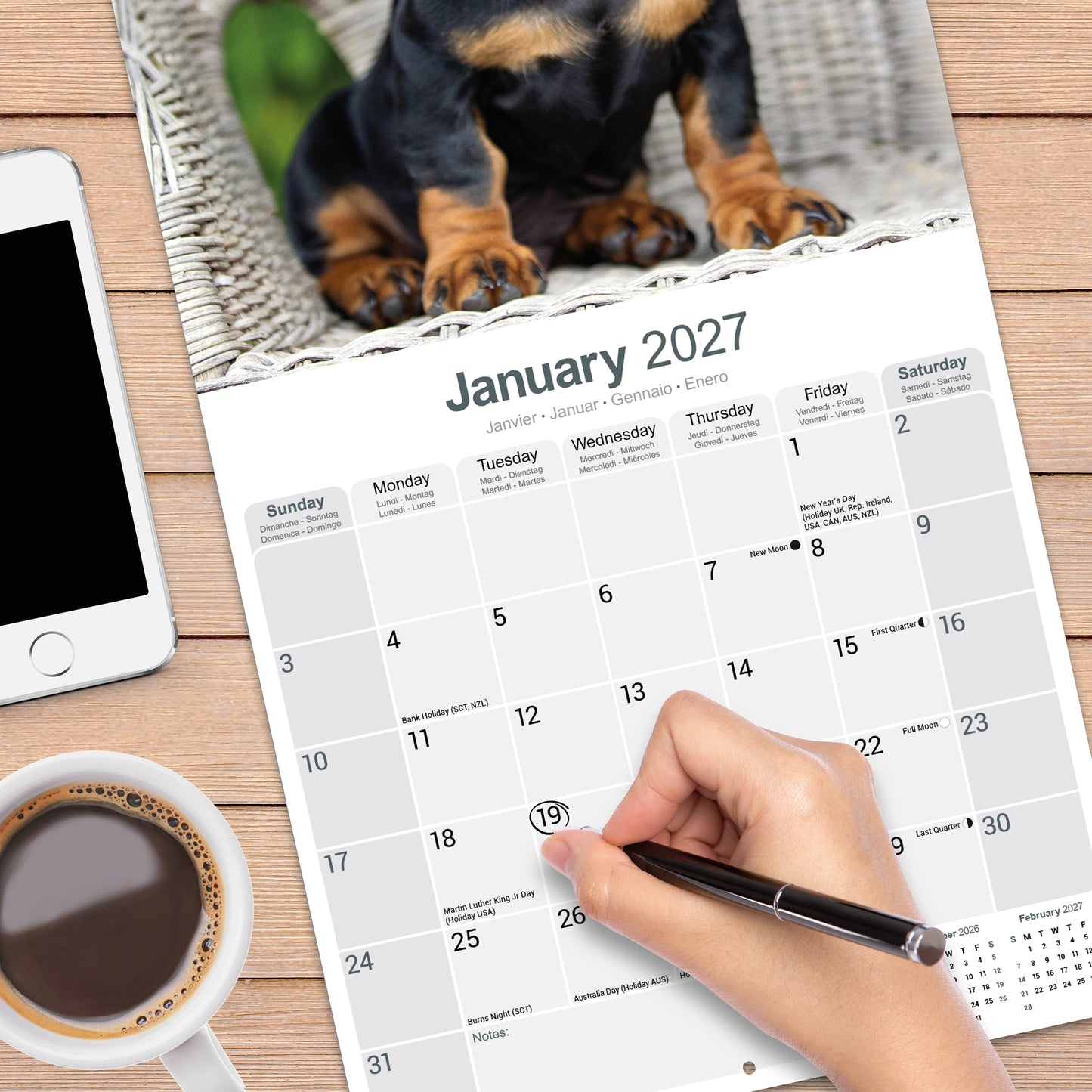 Dachshund wall calendar 2027
