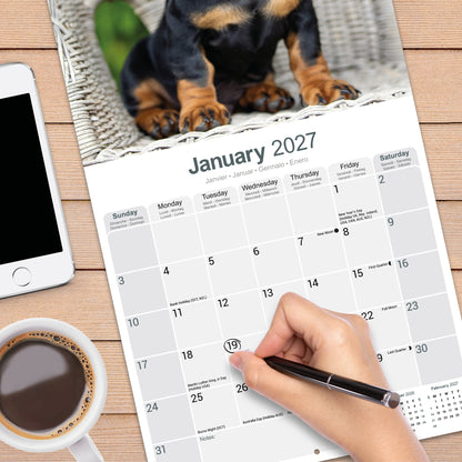 Dachshund wall calendar 2027