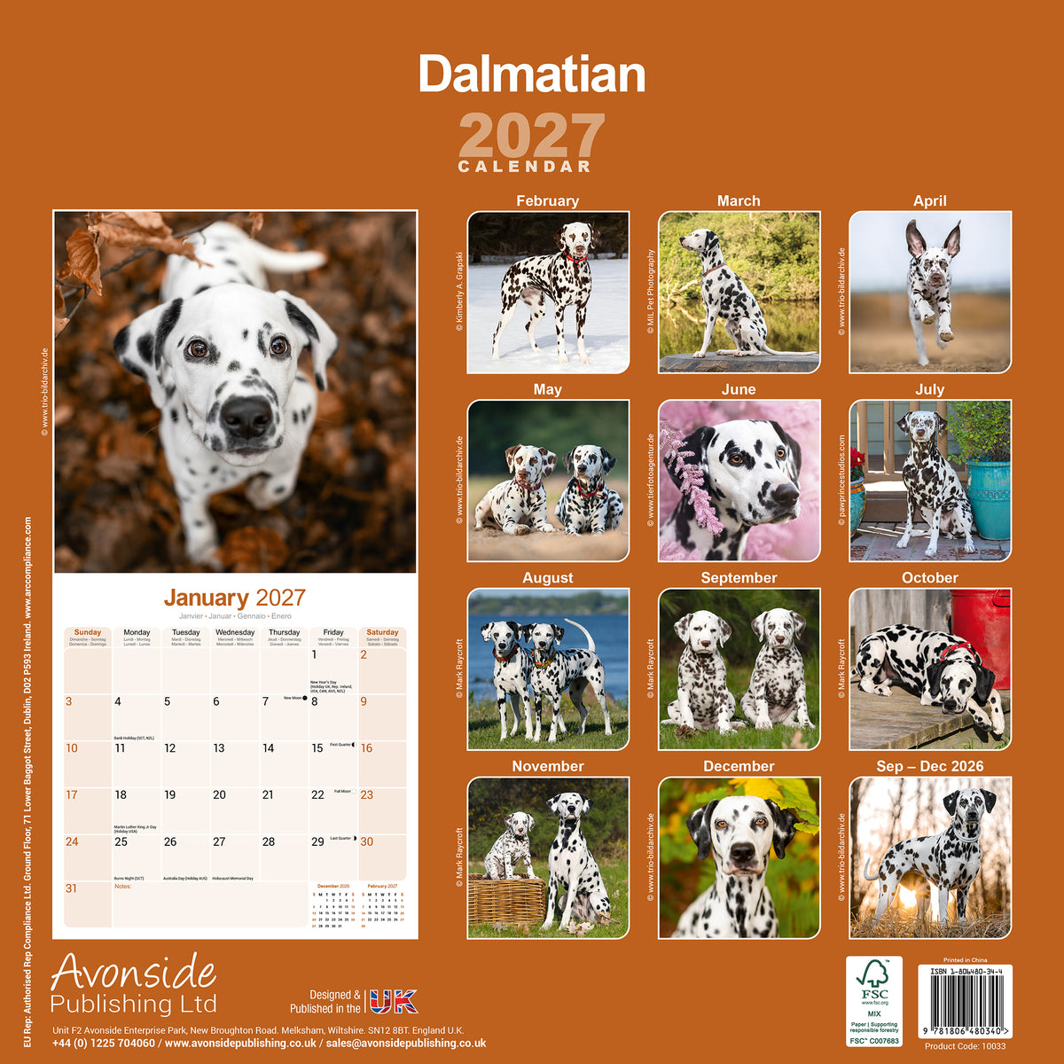 Dalmatian wall calendar 2027