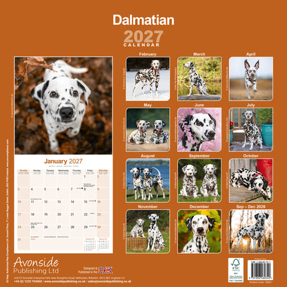 Dalmatian wall calendar 2027