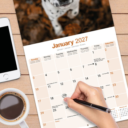 Dalmatian wall calendar 2027