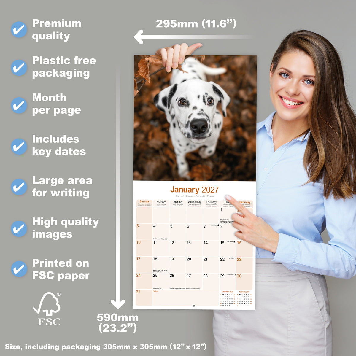 Dalmatian wall calendar 2027