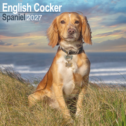 English Cocker Spaniel wall calendar 2027