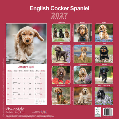 English Cocker Spaniel wall calendar 2027