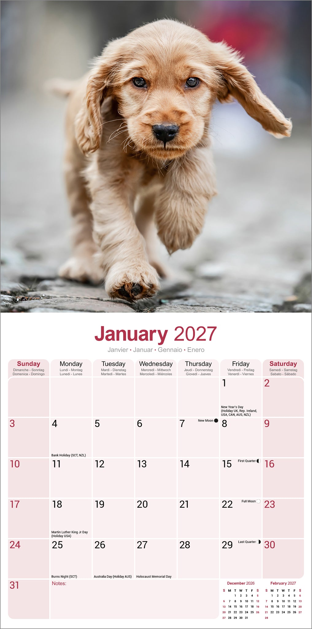 English Cocker Spaniel wall calendar 2027