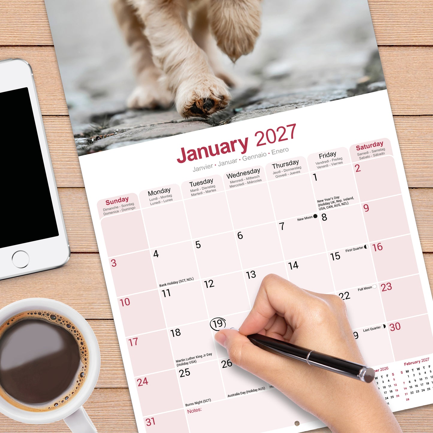 English Cocker Spaniel wall calendar 2027