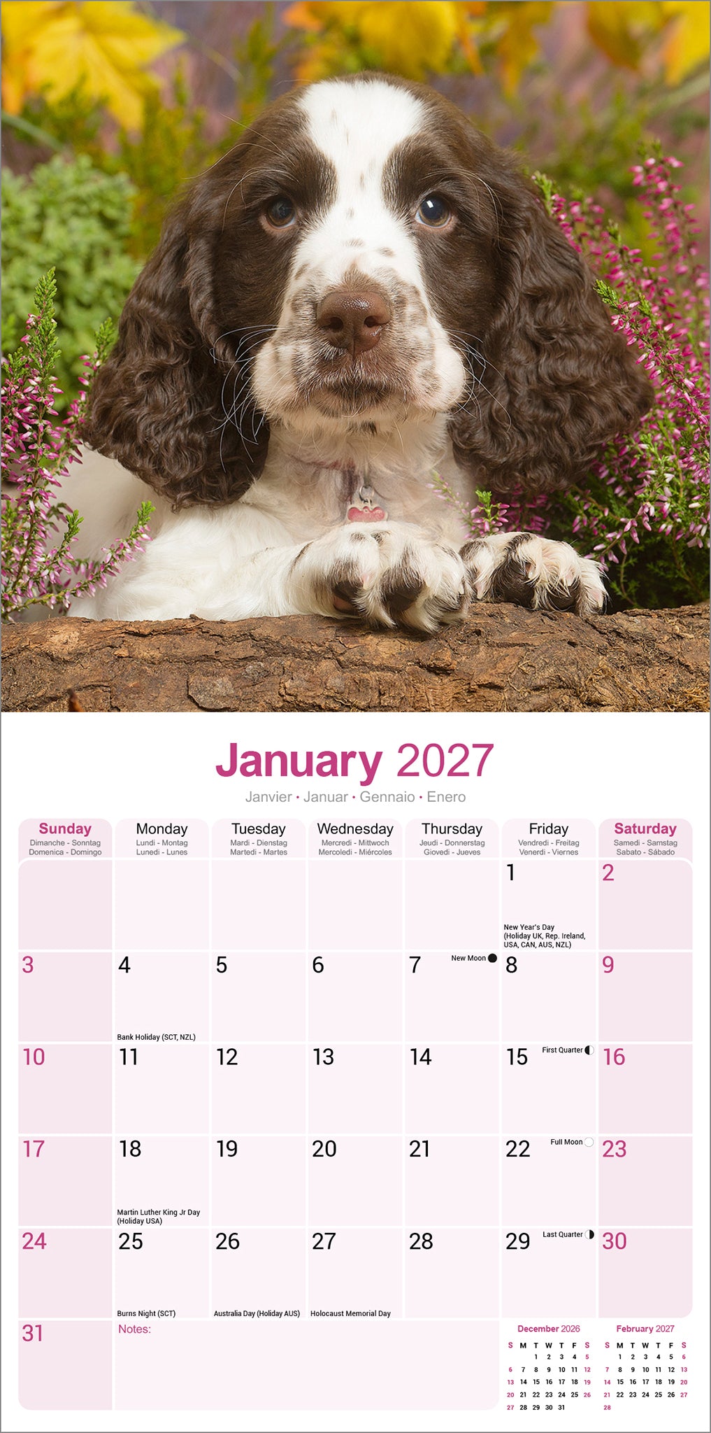 English Springer Spaniel wall calendar 2027