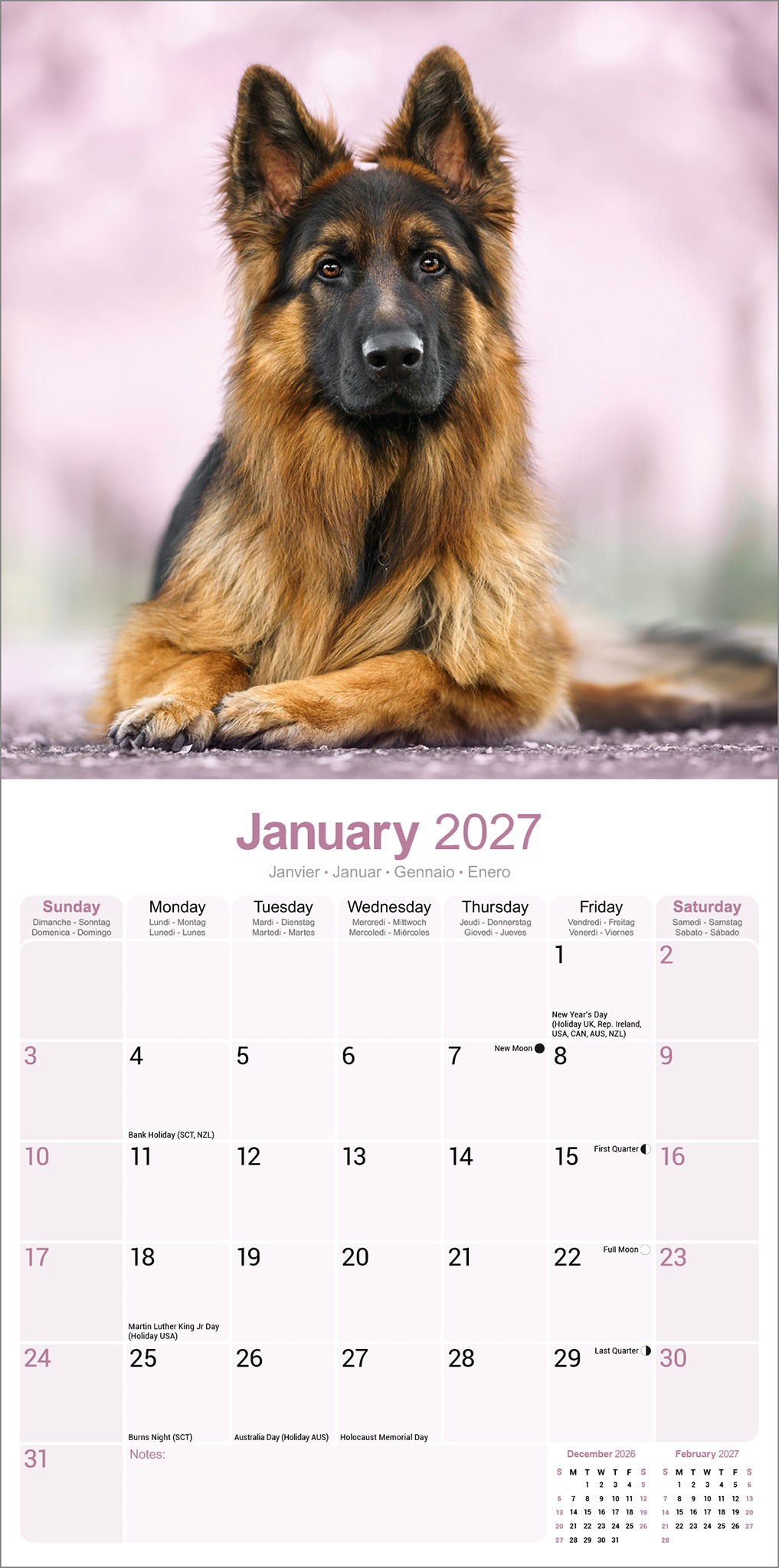 German Shepherd wall calendar 2027