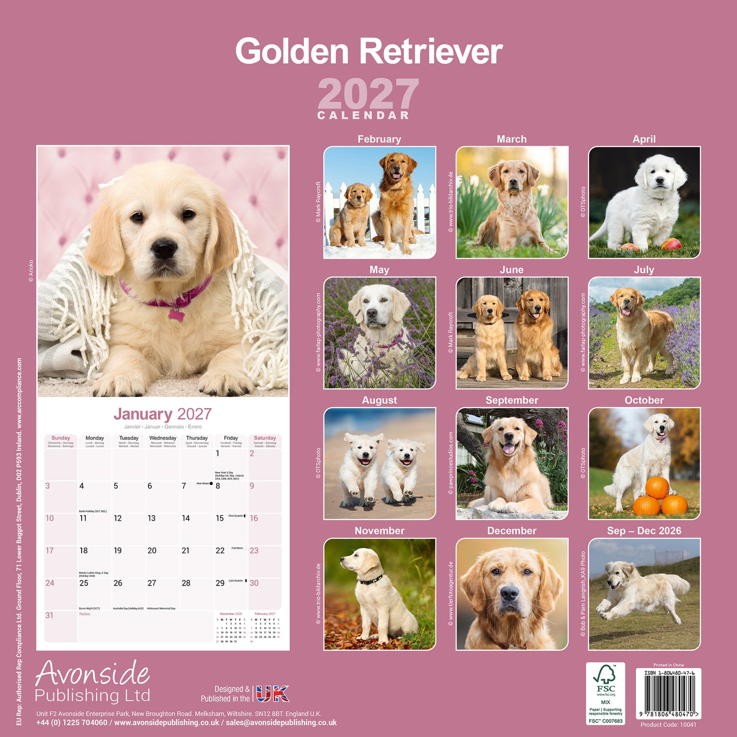Golden Retriever wall calendar 2027