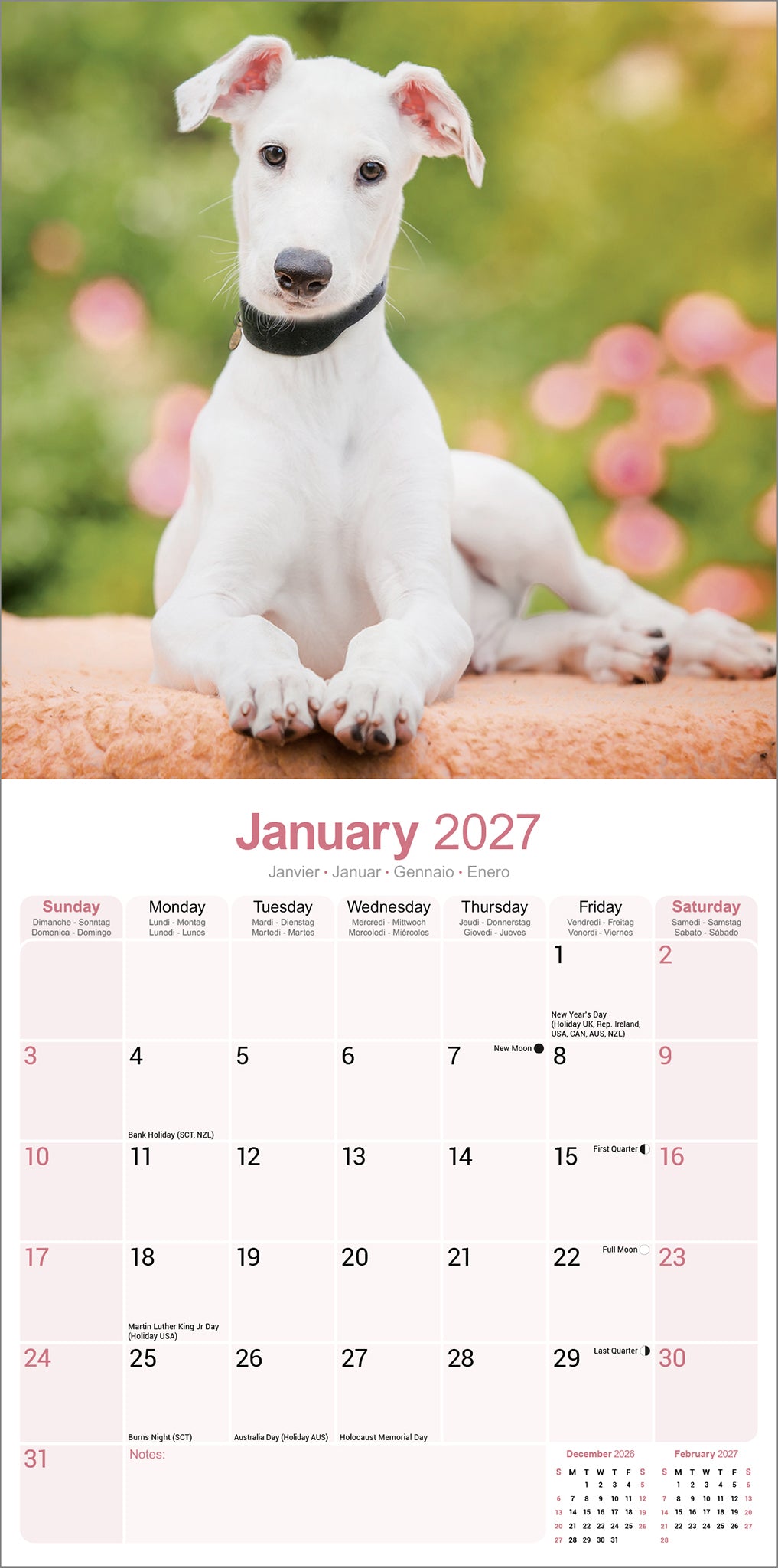 Greyhound wall calendar 2027
