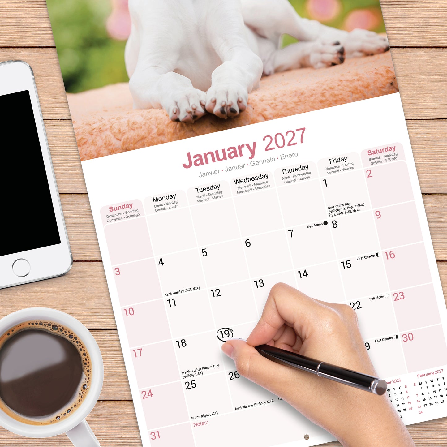 Greyhound wall calendar 2027