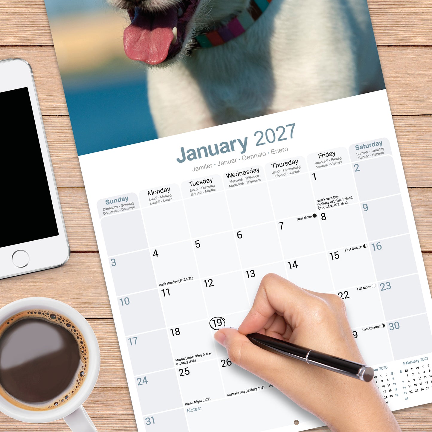 Jack Russell wall calendar 2027