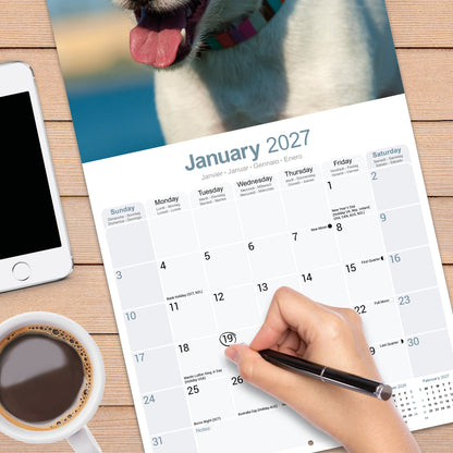 Jack Russell wall calendar 2027
