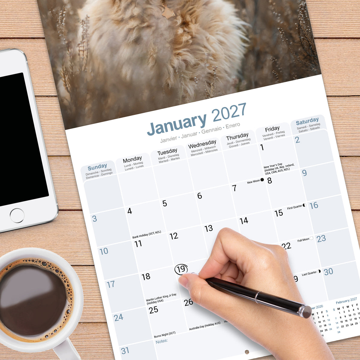 Labradoodle wall calendar 2027
