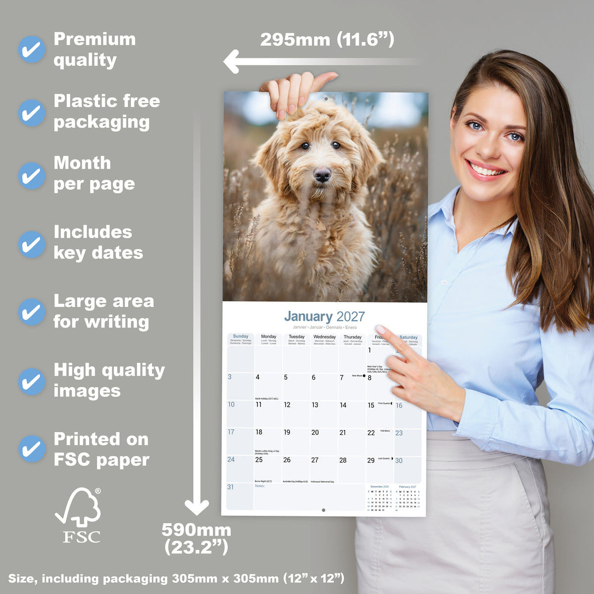 Labradoodle wall calendar 2027
