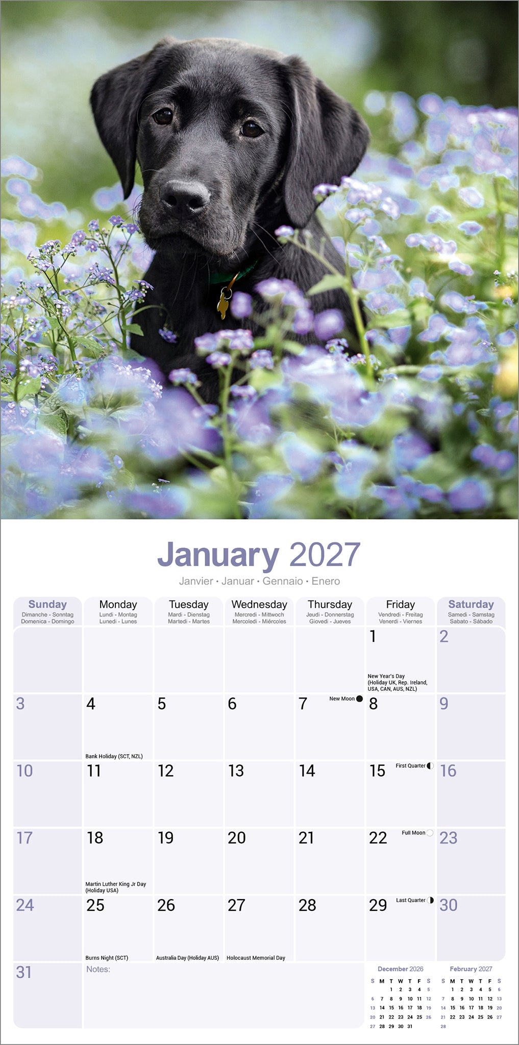 Black Labrador Retriever wall calendar 2027