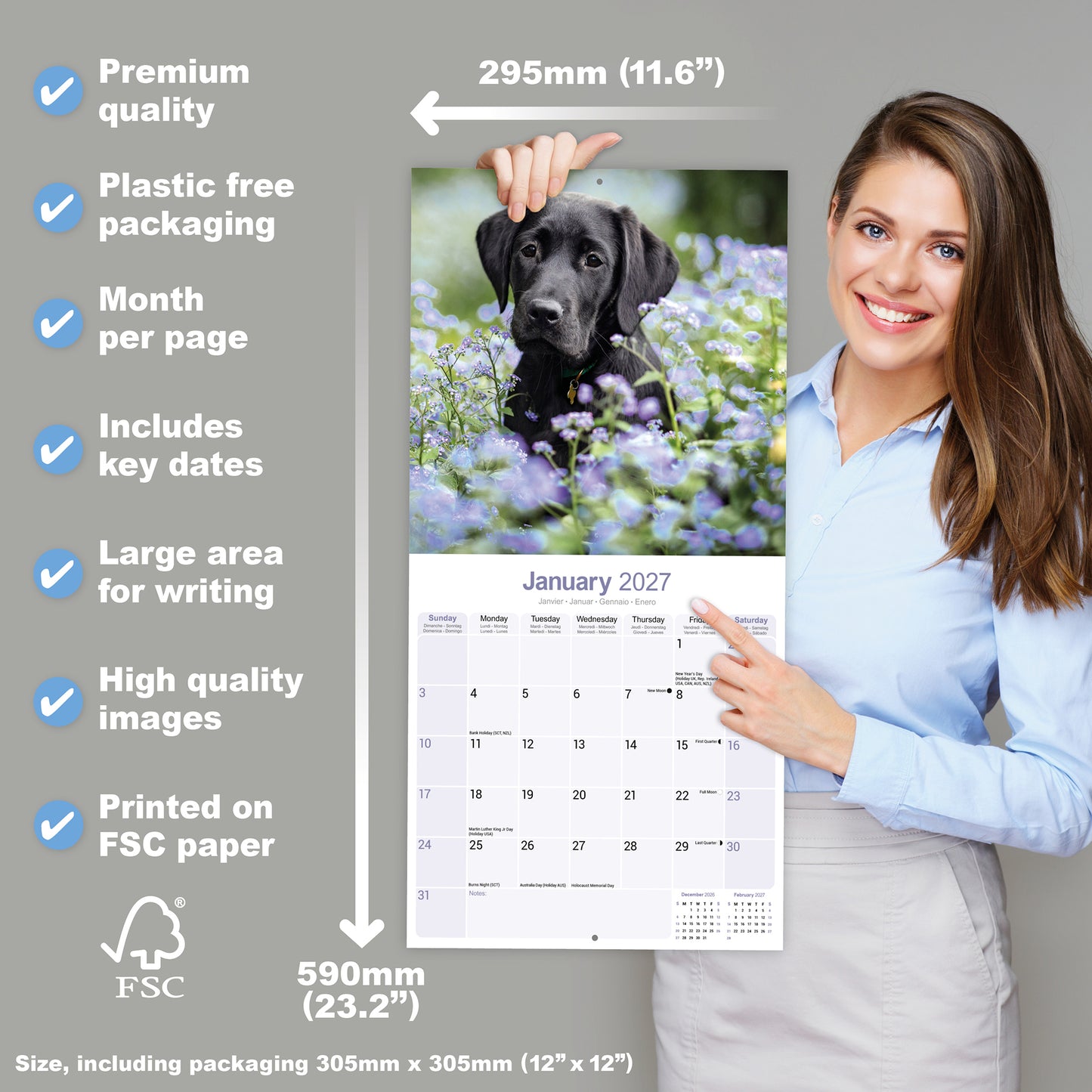 Black Labrador Retriever wall calendar 2027