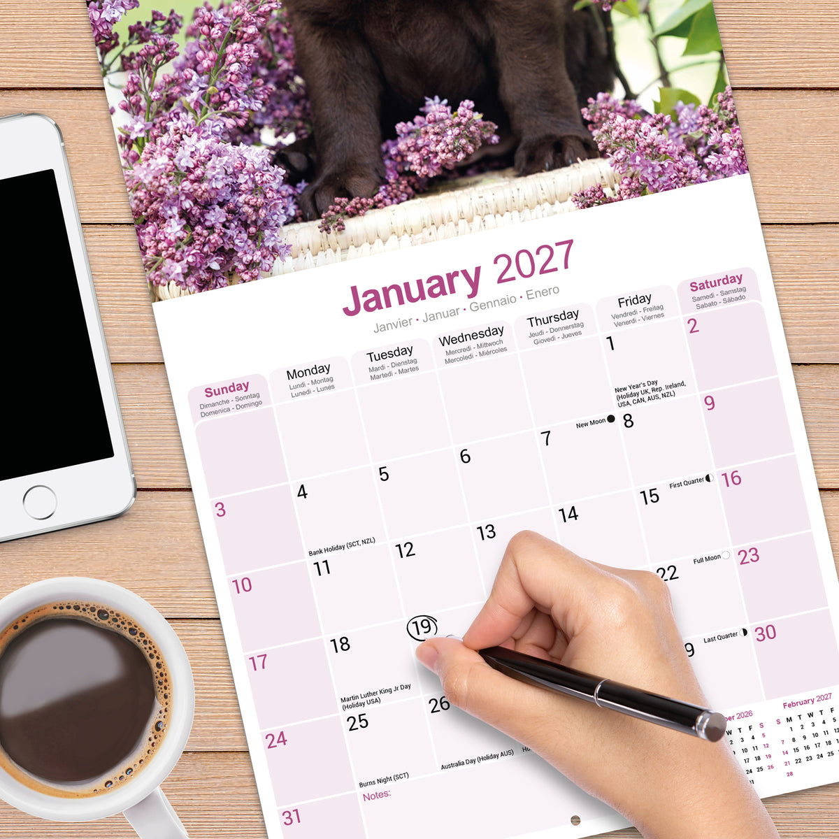 Chocolate Labrador Retriever wall calendar 2027