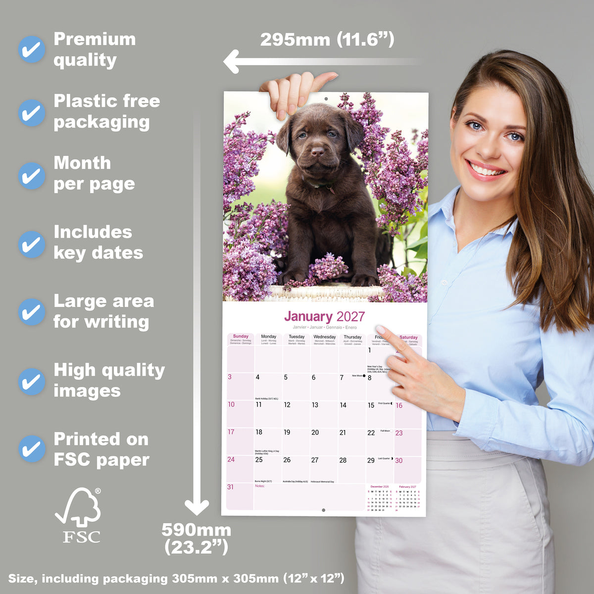 Chocolate Labrador Retriever wall calendar 2027