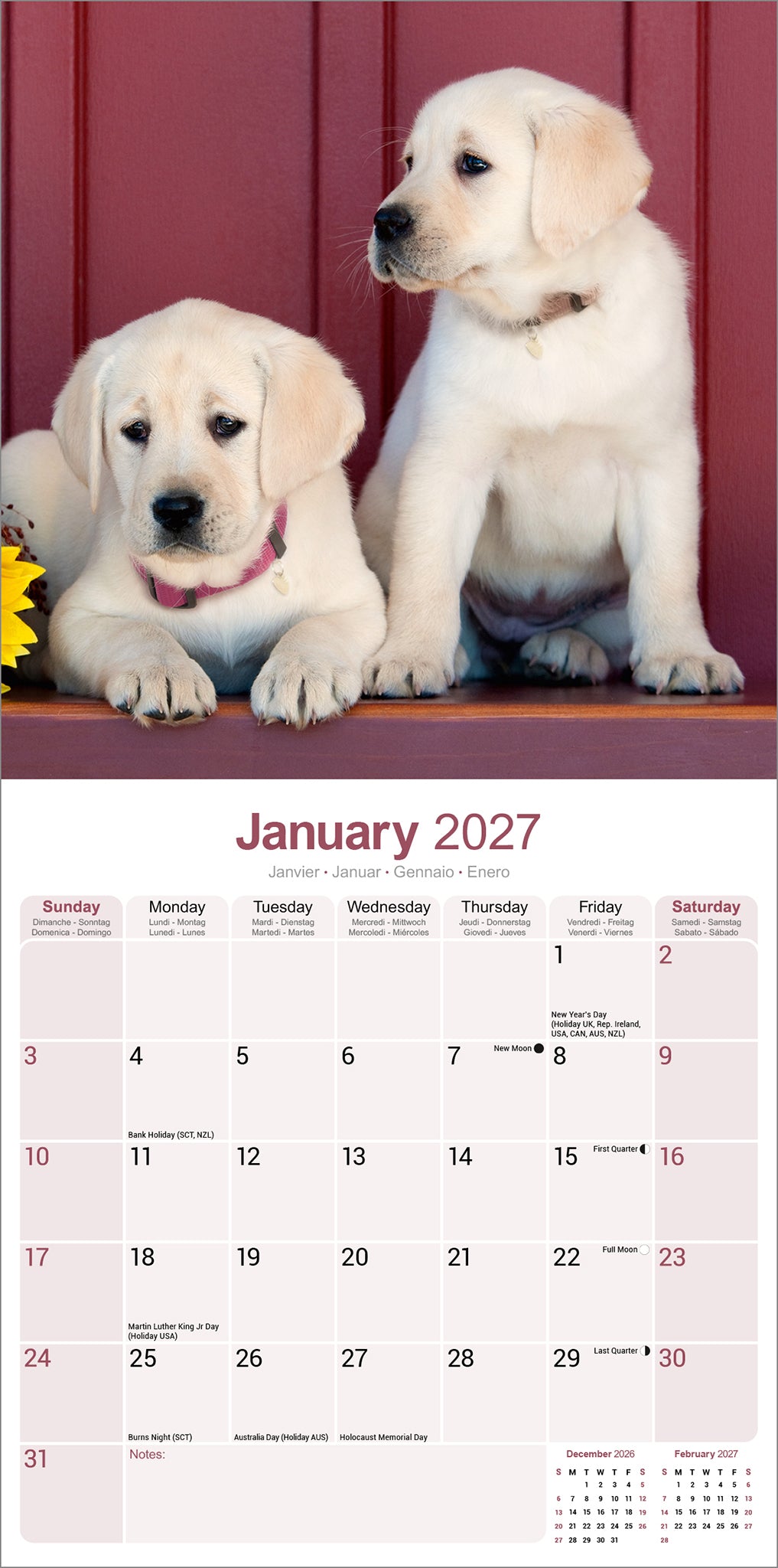 Yellow Labrador Retriever wall calendar 2027