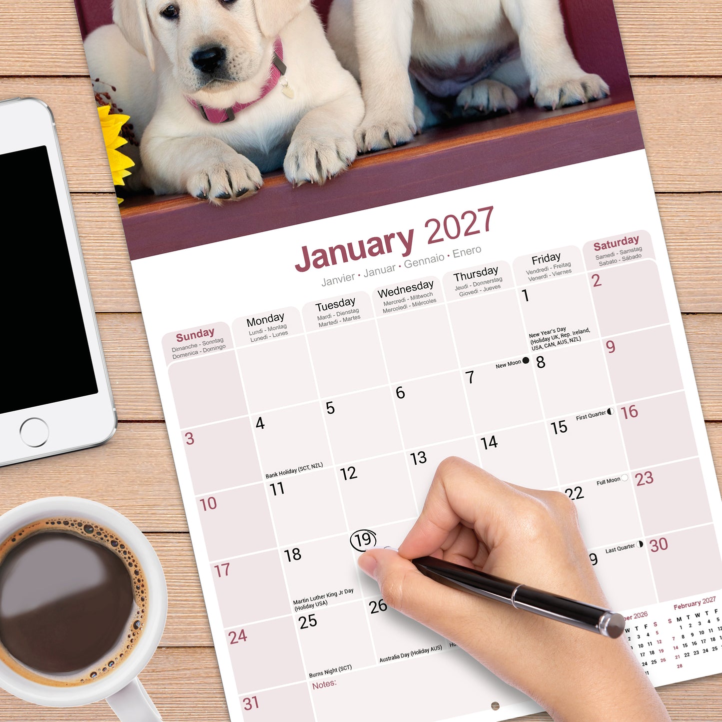 Yellow Labrador Retriever wall calendar 2027