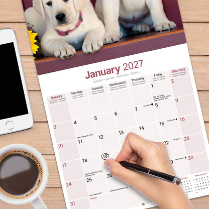 Yellow Labrador Retriever wall calendar 2027